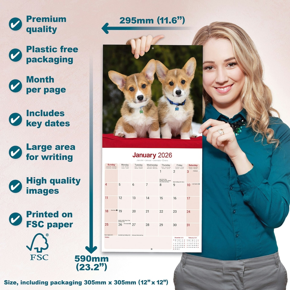 image 1 of Corgi 2026 Calendar | Square Wall Calendar | Dog Breed Gift | Plastic Free Packaging | by Avonside Publishing