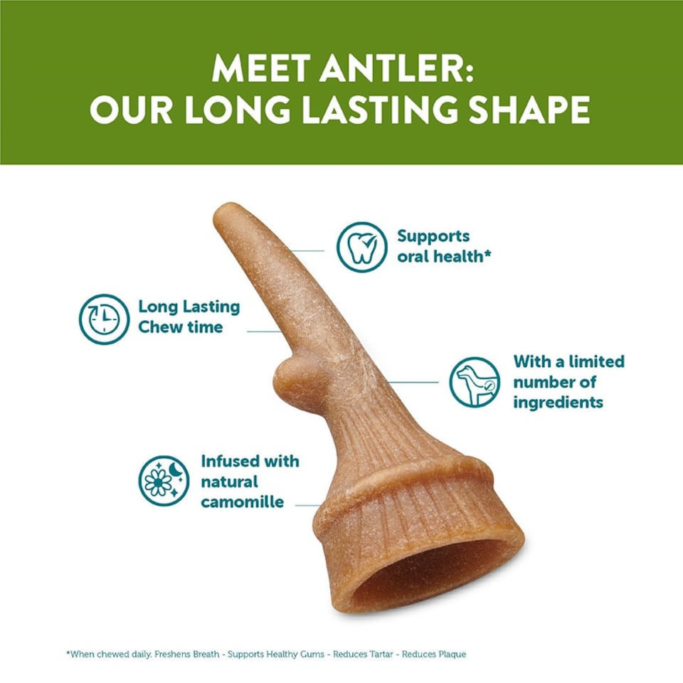 image 1 of Whimzees Antler Large 6 Pack (Pack of 6)