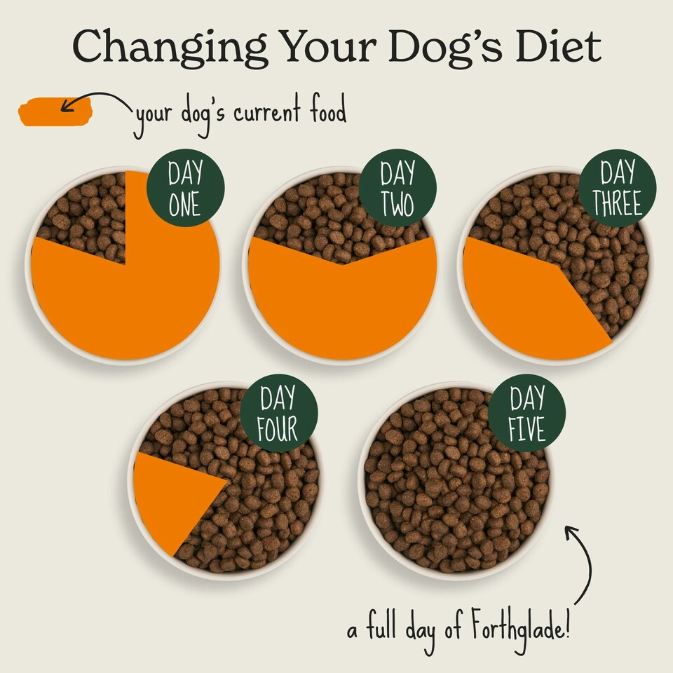 image 1 of 2kg Lightly Baked Lamb Dry Dog Food