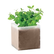 MidOcean Mint Herb Seeds | Brown | Beige | One Size | 1