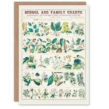 Willson and Calkins Art Card Vintage Botanical Chart No XXII