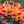 Orange and Yellow