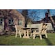 image 3 of Ergo Table Bench Set - Sits 6 - L250 x W290 x H105 cm - Minimal Assembly Required - Set of Waterproof Cushions Included
