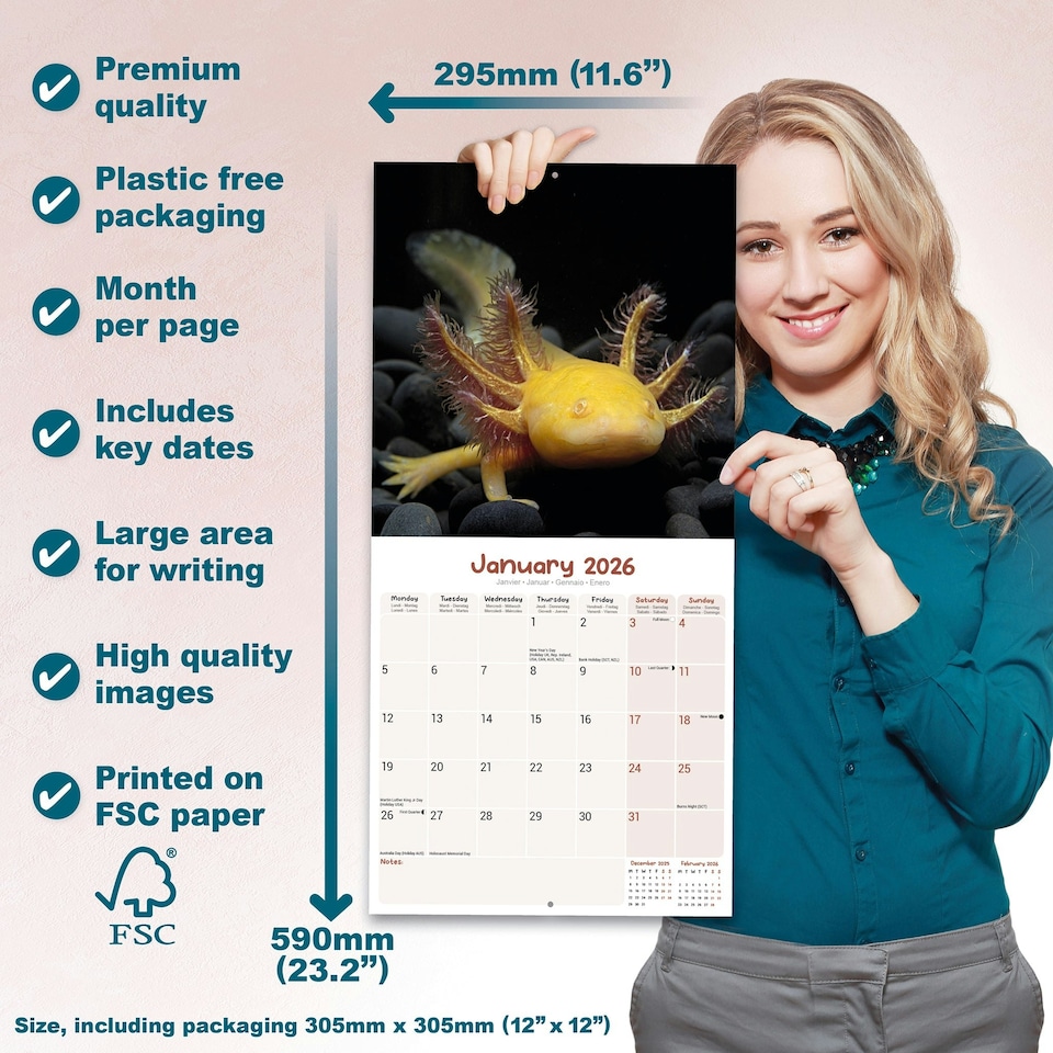 image 1 of Axolotls 2026 Calendar | Square Wall Calendar | Animal Gift | Plastic Free Packaging | by Avonside Publishing