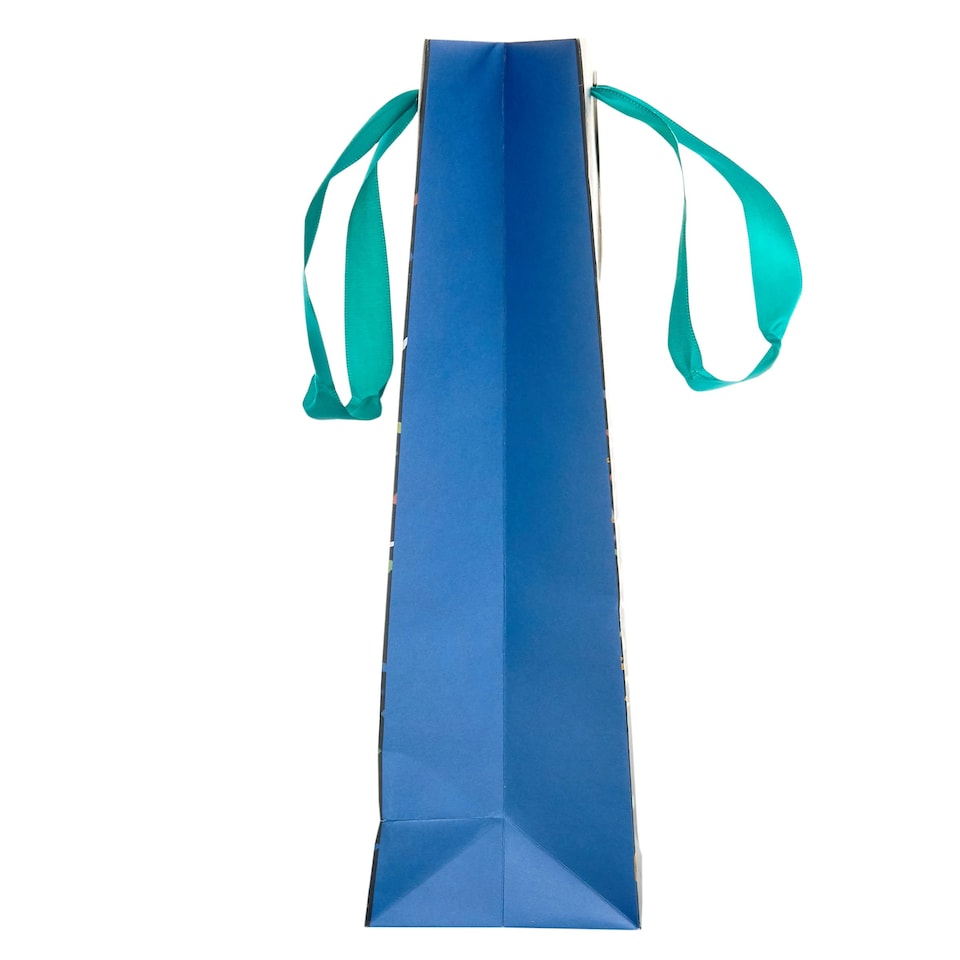image 1 of Multipack of 3 Bottle Bags | Party Bags for Presents | Birthdays/Congratulations | For Him/Her/Friend | Party Popper Design
