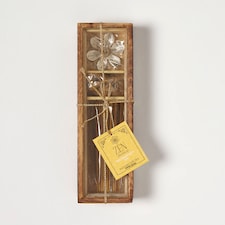 Homescapes Zen Incense Gift Set – Sandalwood & Iris