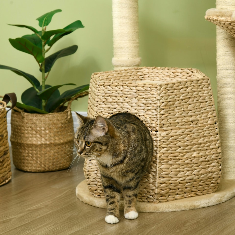 image 1 of PawHut Cat Tree Tower with Cattail Bed, Sisal Post, 119cm, Natural Tone