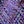 Purple Multi