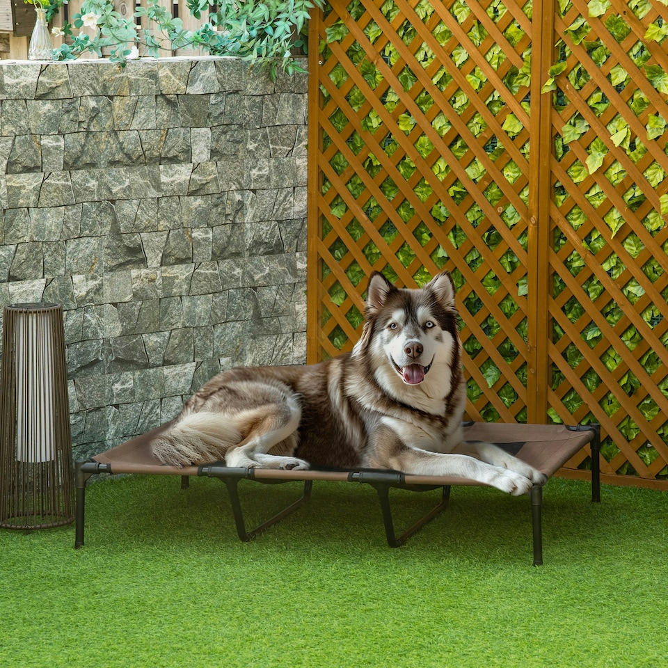 image 1 of PawHut Elevated Dog Bed Cooling Raised Pet Cot for Indoor Outdoor Use, XX Large