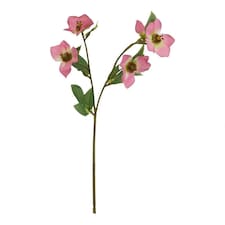 The Natural Garden Collection Varigated Hellibore - Artificial Flower (Single Stem) - Plastic - H47 cm - Pink