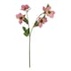 image 1 of The Natural Garden Collection Varigated Hellibore - Artificial Flower (Single Stem) - Plastic - H47 cm - Pink