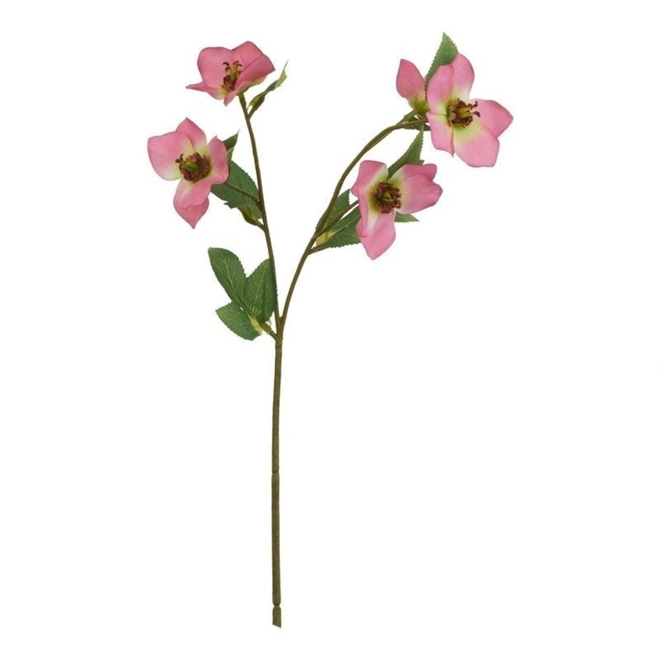 image 1 of The Natural Garden Collection Varigated Hellibore - Artificial Flower (Single Stem) - Plastic - H47 cm - Pink