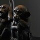 image 3 of ValueLights Pair Of Monkey Animal Quirky Modern Black Table Lamps With Grey Shades