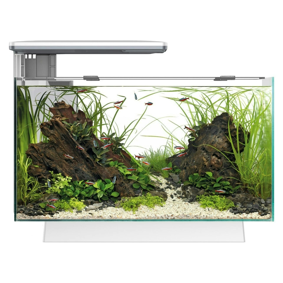 image 1 of Superfish Quadro 40 Multi-Colour LED Aquarium White