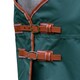 image 4 of Weatherbeeta Comfitec Tyro Plus Standard-Neck Lightweight Horse Rug - Green/Burn Orange/White - 4´ 3"