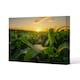 image 1 of field at sunset (Canvas Print) (Canvas Print) 101 x 77 x 4cm