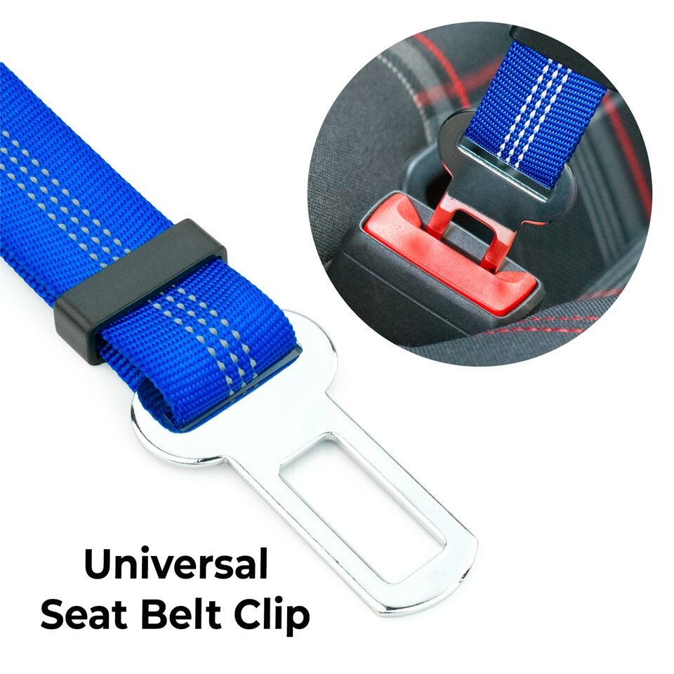 image 1 of KCT Blue Car Seatbelt for Dogs Blue | L