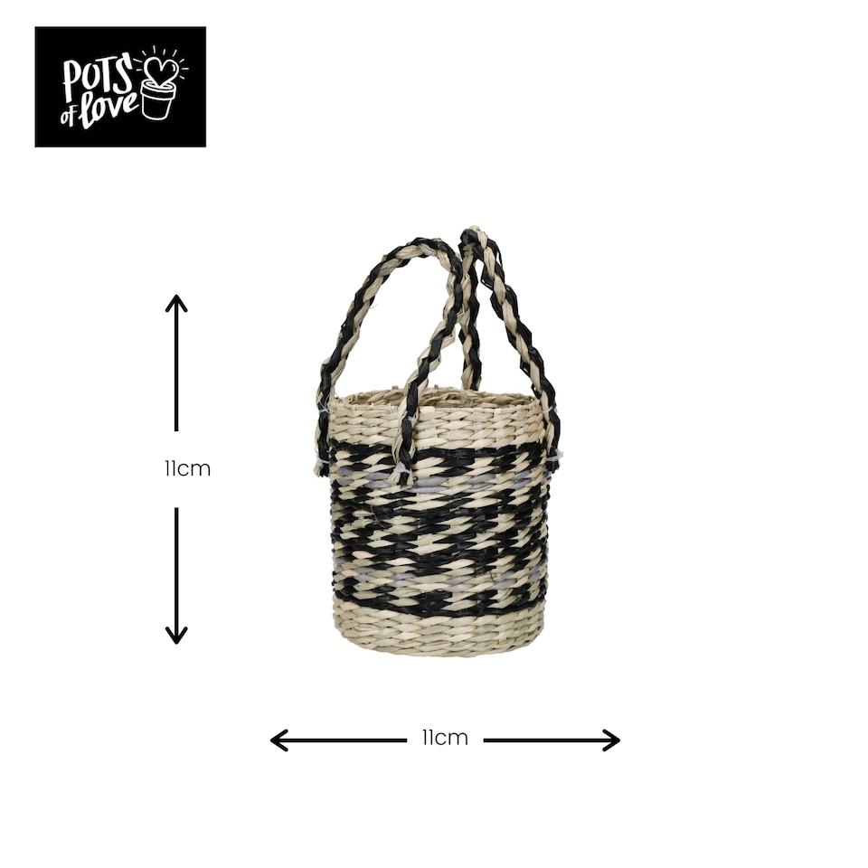 image 1 of KitchenCraft Plant Basket Mixed Seagrass Striped Multi