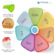 image 6 of Rainbow Weekly Pill Box, Pill Organiser with Weekday Labels