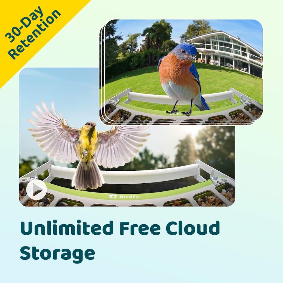 image 1 of BIRDFY FEEDER METAL AI RECOGNITION