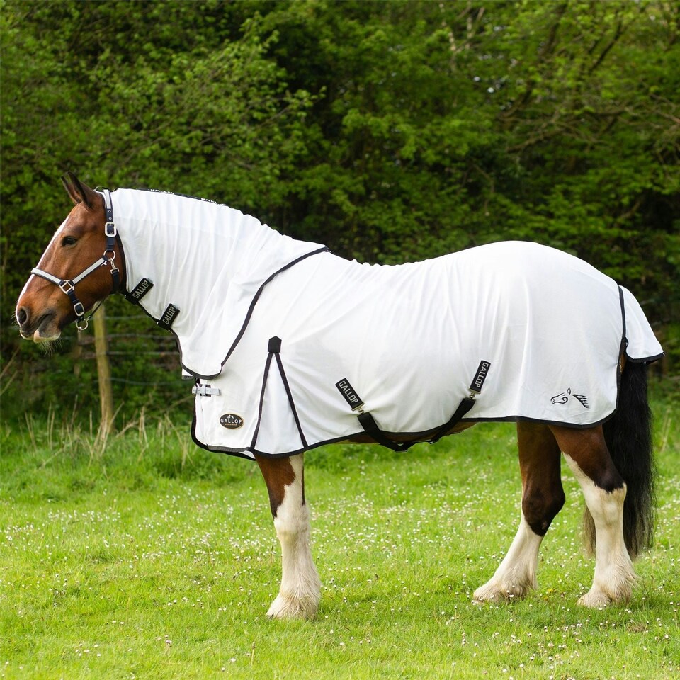 image 1 of Gallop Equestrian Dual Rug & Neck Set White | Size: 5ft 0
Colour: Black/White