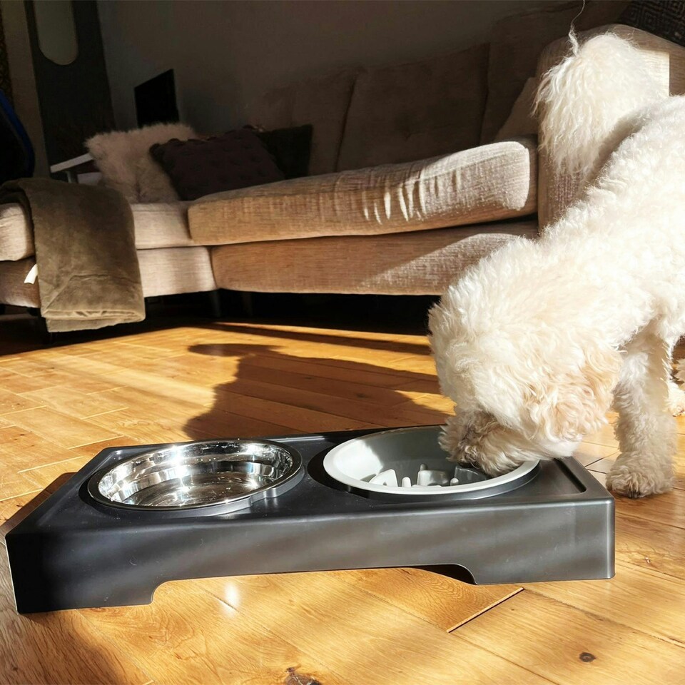 image 1 of HugglePets Adjustable Pet Dog Double Diner Black