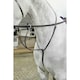 image 2 of Whitaker Lynton Leather Running Martingale - Black - Pony