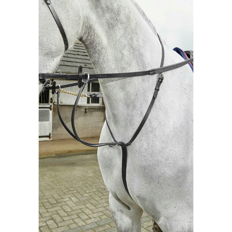 image 1 of Whitaker Lynton Leather Running Martingale - Black - Pony