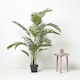 image 6 of Homescapes Areca Palm Tree in Pot, 160 cm Tall