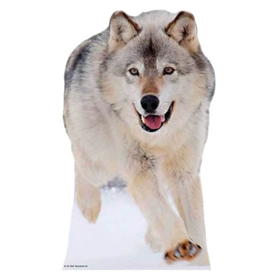 image 1 of Wolf Lifesize Cardboard Cutout - 90cm