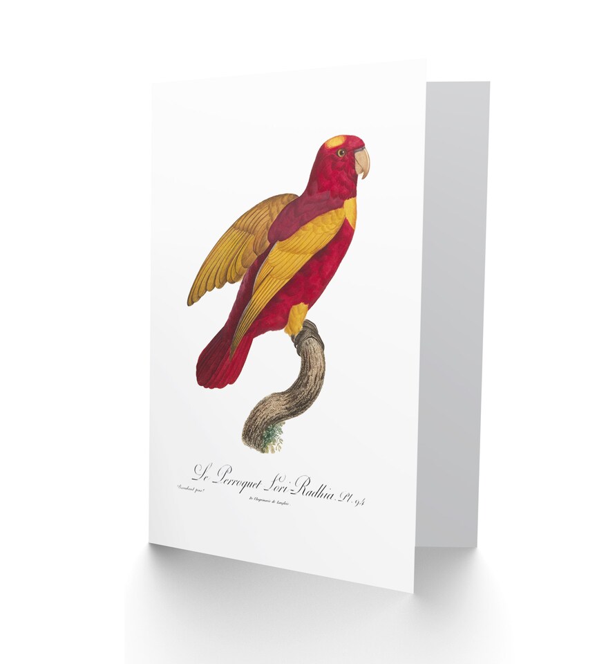 image 1 of Bird Red Parakeet Greetings Card
