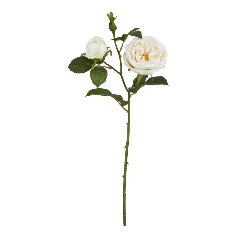 image 1 of Hill Interiors The Natural Garden Collection Charity Rose Artificial Flower - Pale Blush - One Size