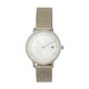 image 1 of Tommy Hilfiger Gold Ladies Quartz Watch 1782286 | Multi | Gold | One Size