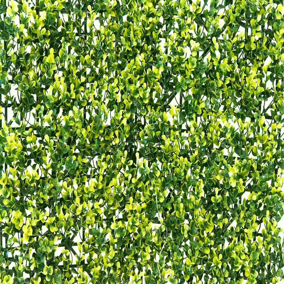 image 1 of Primrose Light Buxus Artificial Garden Patio Hedge Panels 50cm x 50cm Set of 8