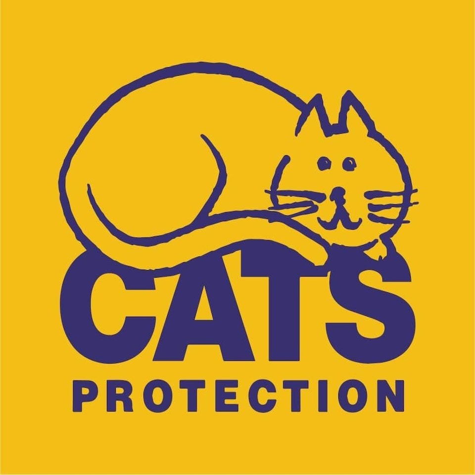 image 1 of Kittilit Premium Wood Pellets Cat Litter - 20L