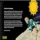 image 5 of Exo Terra Reptile UVB Bulbs Gold