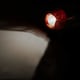 image 2 of Eveready Impact Hand Torch - Black/Red - One Size