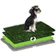 image 1 of PawHut Dog Toilet with 2 Packs Artificial Grass Pads, 67 x 41cm, Green