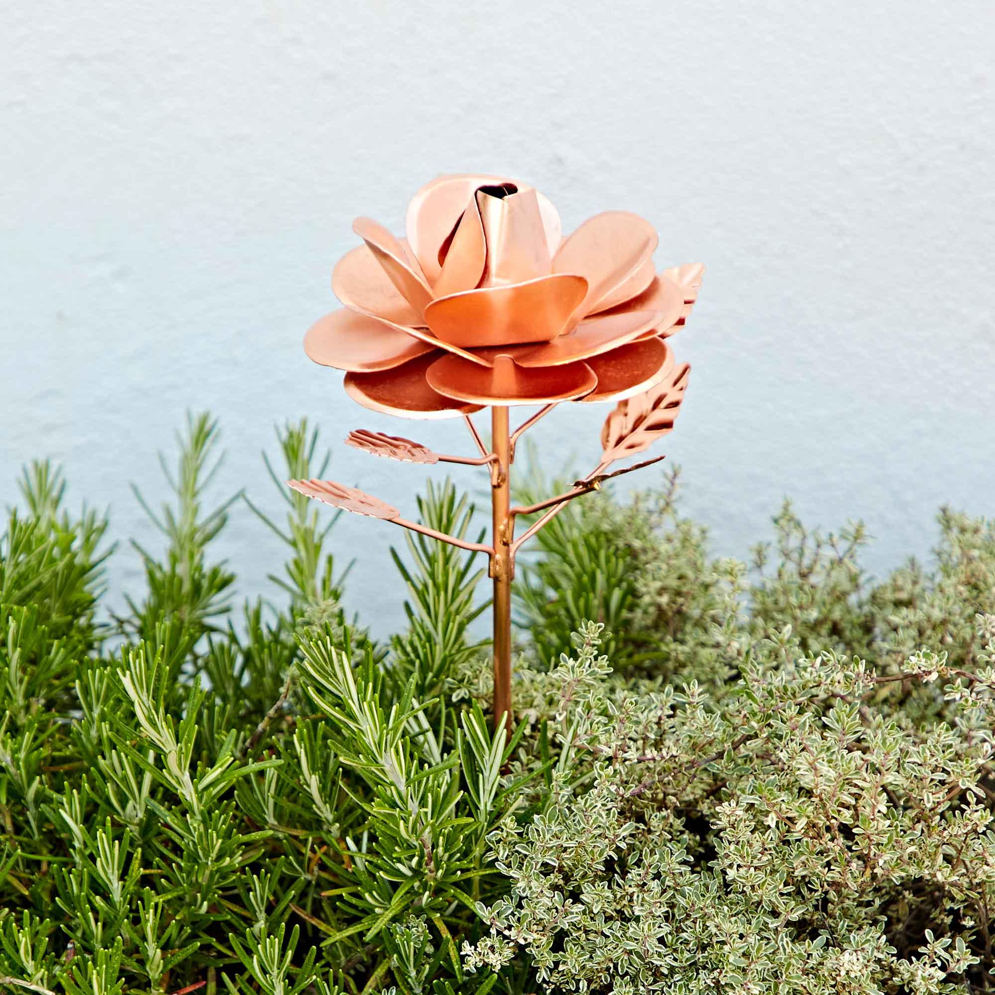 Paper High Metal Copper Rose Garden Stake