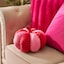 Pink/Red Pumpkin