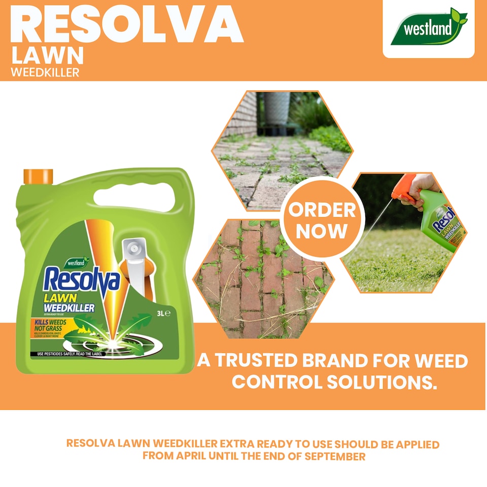 image 1 of Resolva Lawn Weedkiller Extra Ready to Use 3L Broadleaf Weed Control Glyphosate Free | Yellow