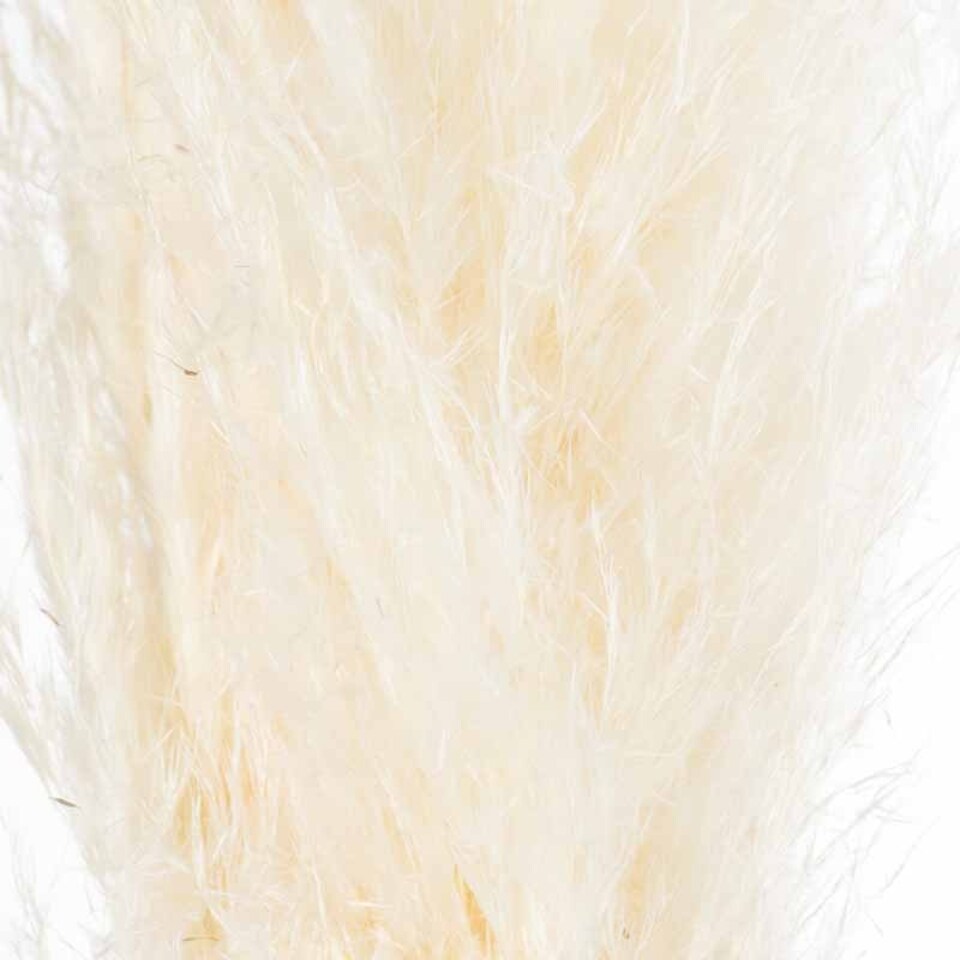 image 1 of Pampas Grass Stem Artificial Plant - H120 cm - Cream
