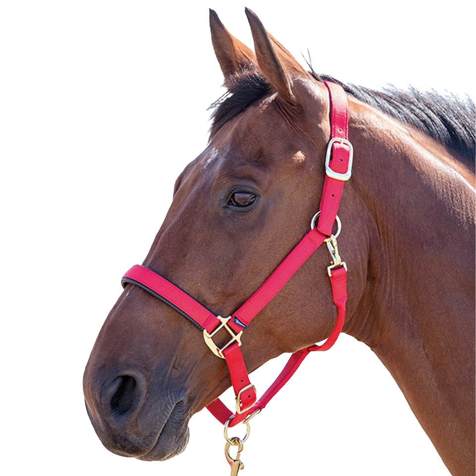 Shires Topaz Nylon Horse Headcollar - Red - Pony