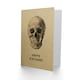 image 2 of Human Skull Front Facing Vintage Style Drawing Birthday Card