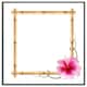 image 3 of Bamboo border (Picture Frame) Brown | XS
