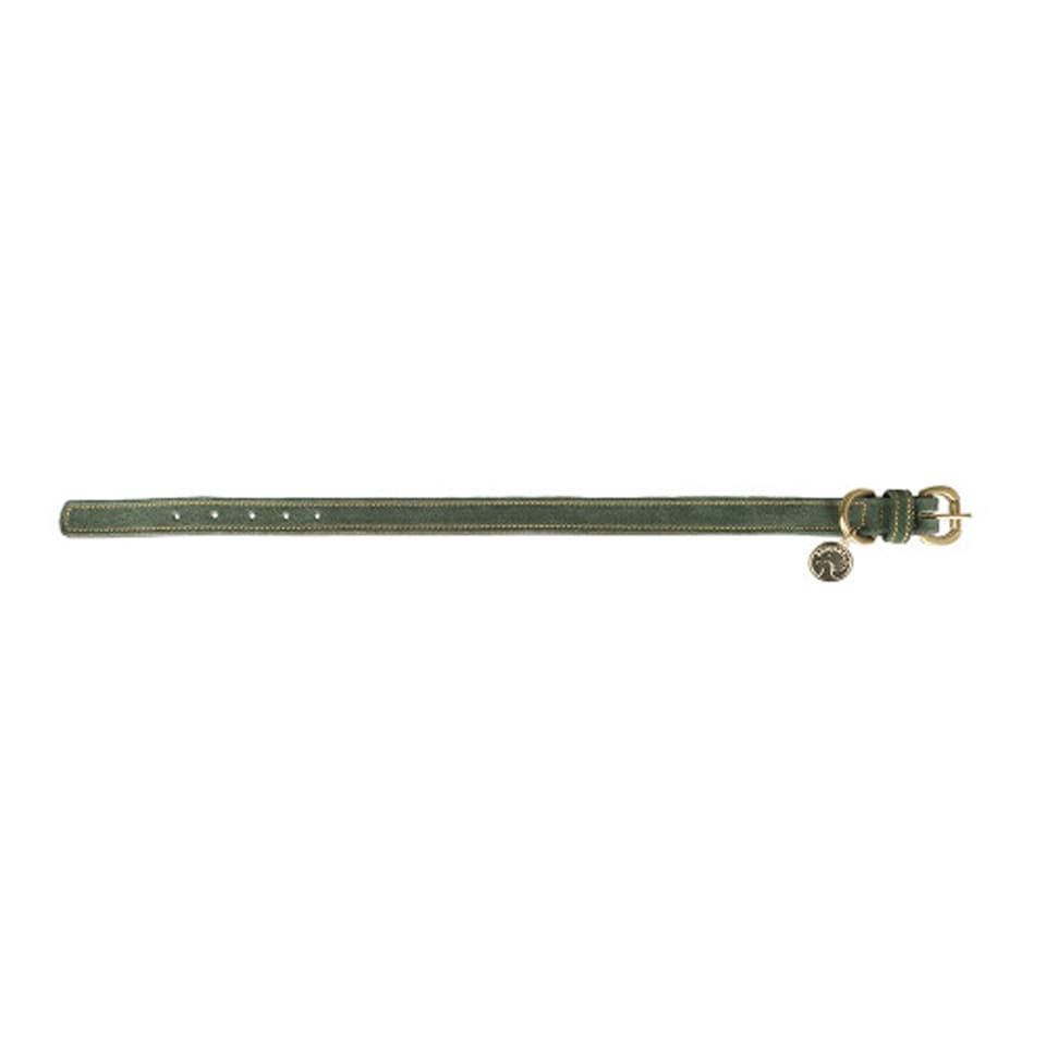 image 1 of Benji & Flo Noble Suede Dog Collar | Green | Green/Gold | S | 1