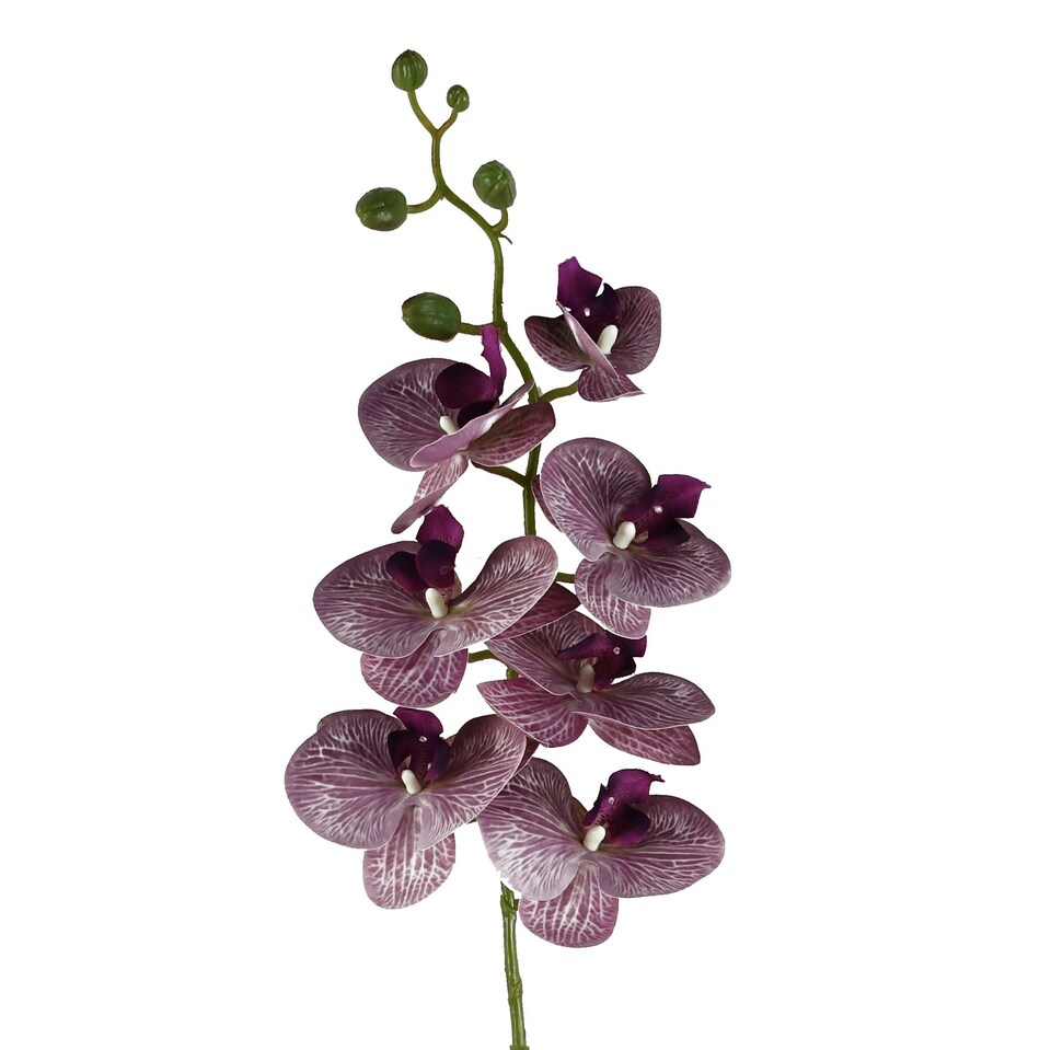 image 1 of Artificial 100cm Phalaenopsis Orchid Purple Stem