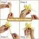 image 8 of 10pcs Light Yellow 50mm/5cm Large Ribbon Pull Bows for Gift Wrapping, Hampers, Florist Bouquets and Party Décor Pullbow | Yellow | Yellow