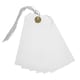 image 1 of Box of 1000 White Strung Tags 120mm x 60mm