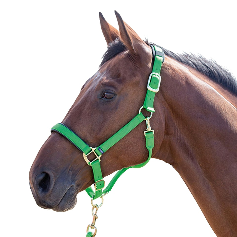 Shires Topaz Nylon Horse Headcollar - Green - Full